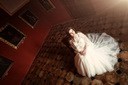 Foto Geci :: 098 555 677